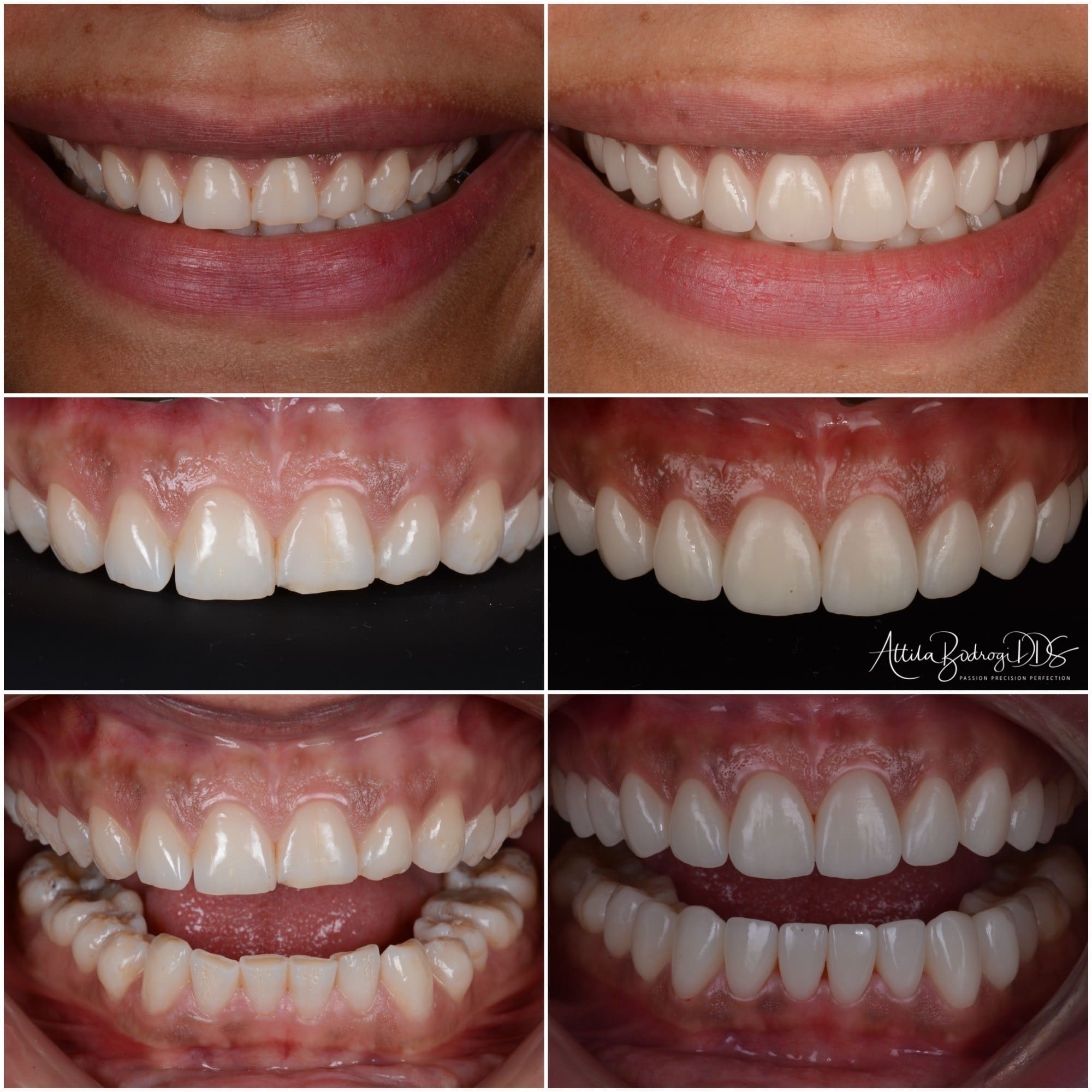 Bodrogi Specialitások